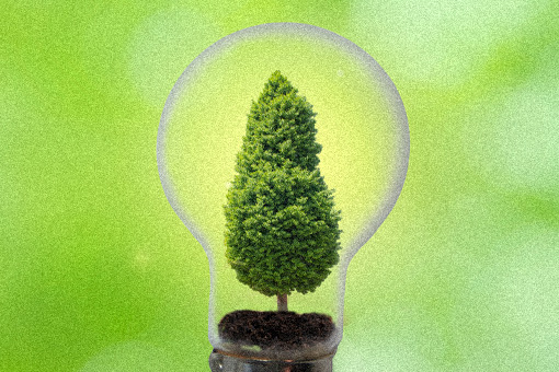 バイオマス発電事業